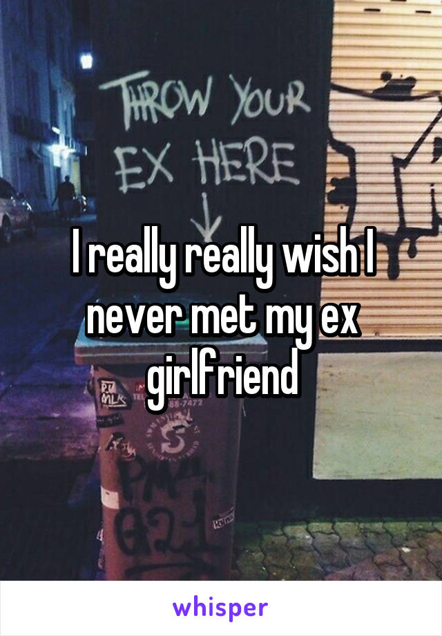 I really really wish I never met my ex girlfriend