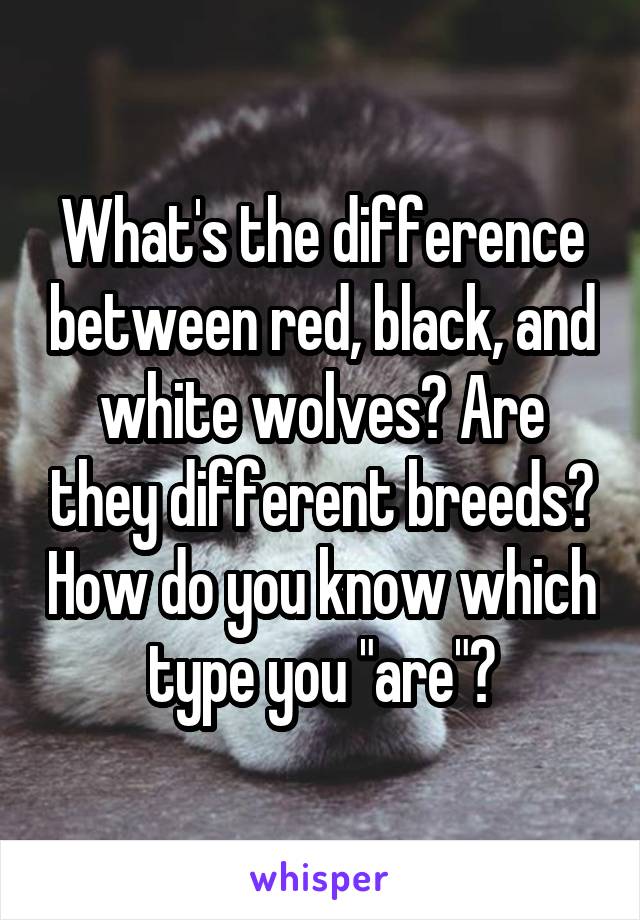 What's the difference between red, black, and white wolves? Are they different breeds? How do you know which type you "are"?