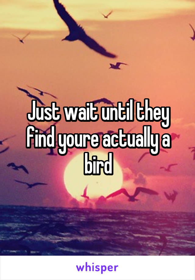 Just wait until they find youre actually a bird