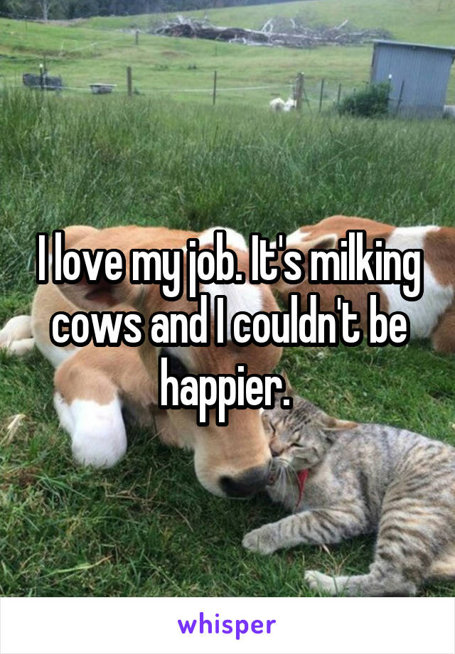 I love my job. It's milking cows and I couldn't be happier. 