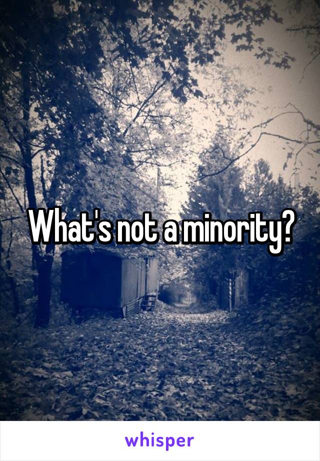 What's not a minority?