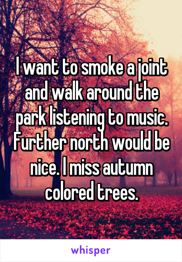 I want to smoke a joint and walk around the park listening to music. Further north would be nice. I miss autumn colored trees.