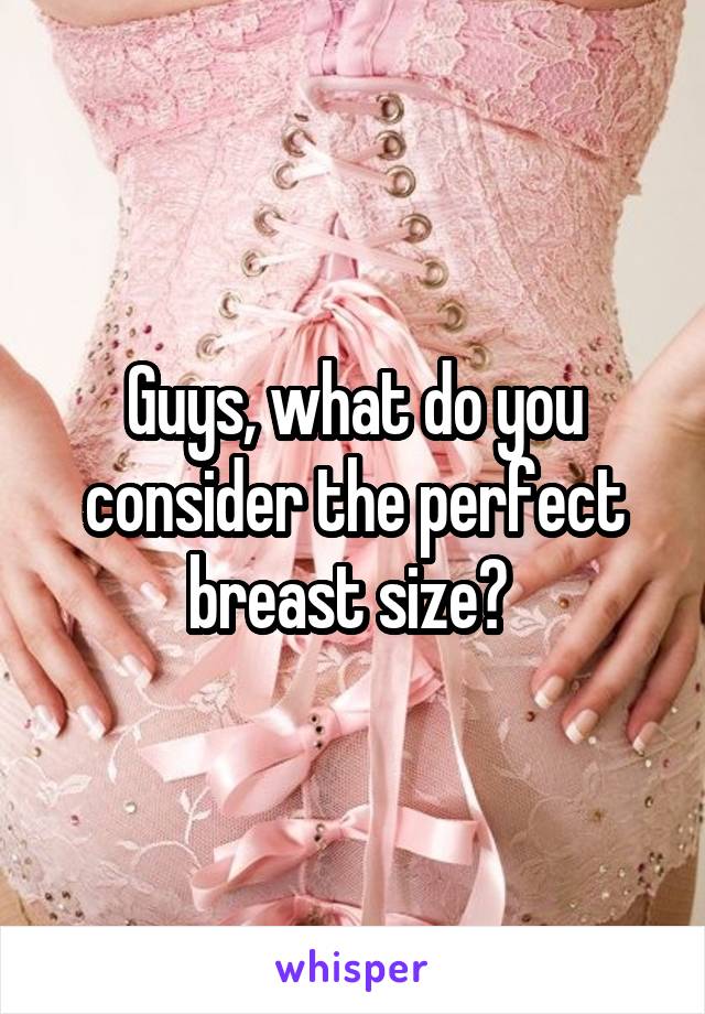 Guys, what do you consider the perfect breast size? 