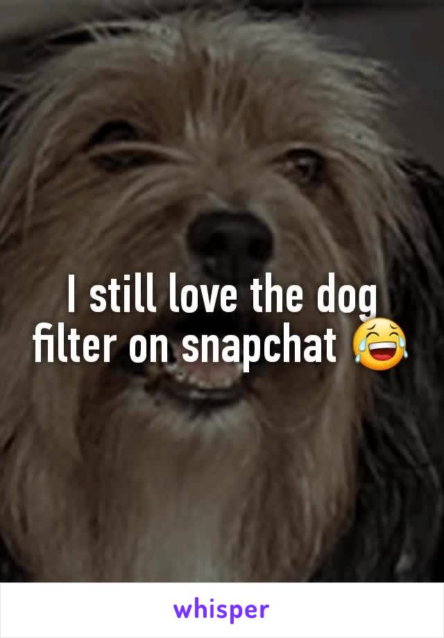 I still love the dog filter on snapchat 😂