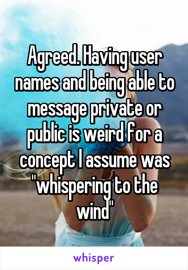 Agreed. Having user names and being able to message private or public is weird for a concept I assume was "whispering to the wind"