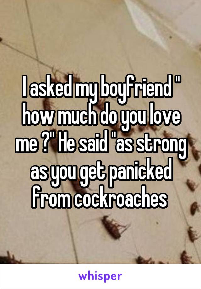 I asked my boyfriend " how much do you love me ?" He said "as strong as you get panicked from cockroaches 