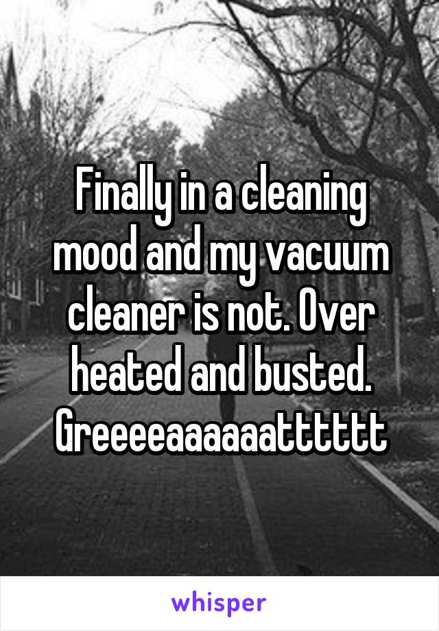 Finally in a cleaning mood and my vacuum cleaner is not. Over heated and busted. Greeeeaaaaaatttttt