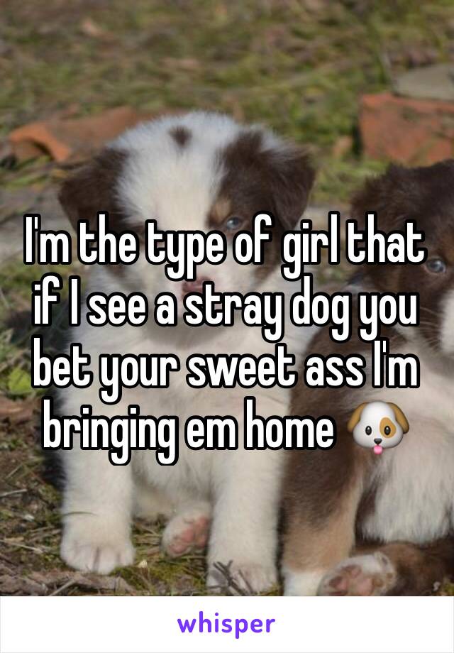 I'm the type of girl that if I see a stray dog you bet your sweet ass I'm bringing em home 🐶