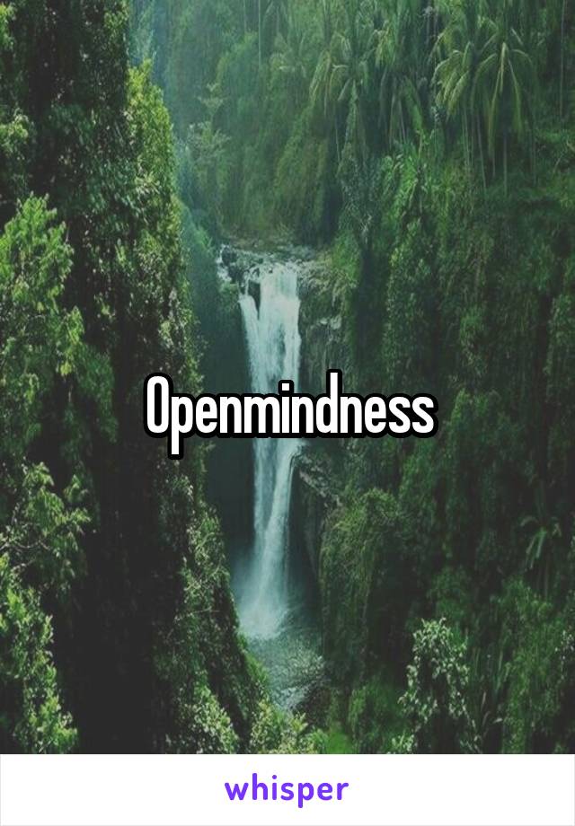 Openmindness