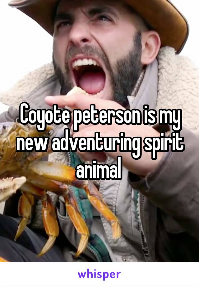 Coyote peterson is my new adventuring spirit animal 