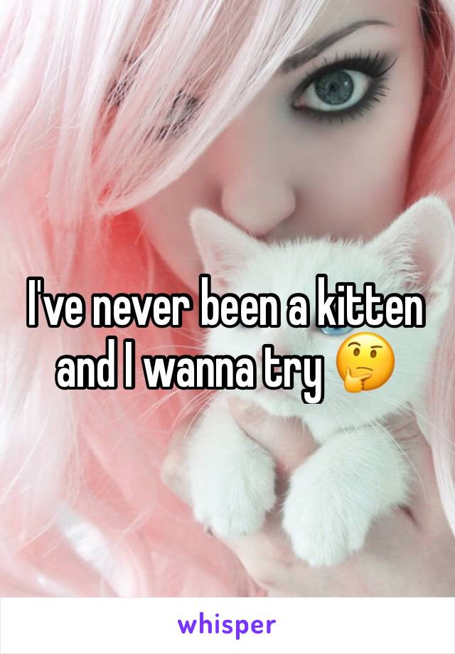 I've never been a kitten and I wanna try 🤔