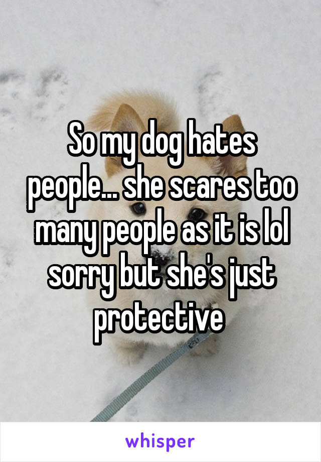 So my dog hates people... she scares too many people as it is lol sorry but she's just protective 