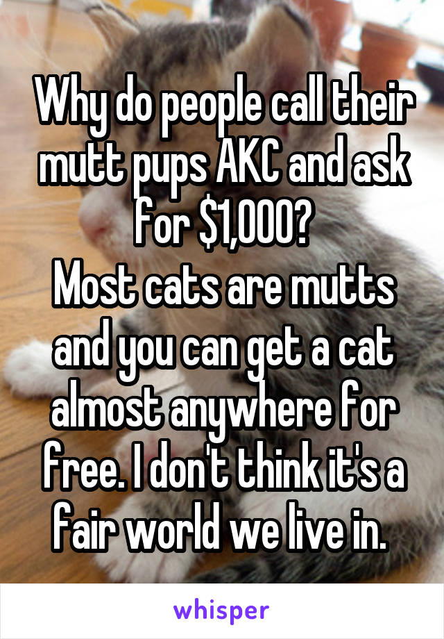 Why do people call their mutt pups AKC and ask for $1,000?
Most cats are mutts and you can get a cat almost anywhere for free. I don't think it's a fair world we live in. 