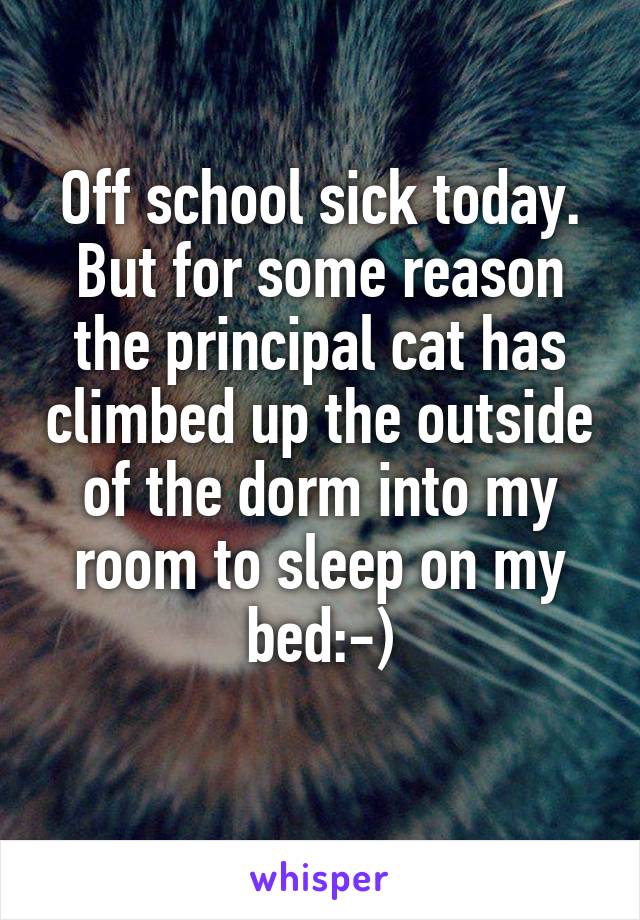 Off school sick today. But for some reason the principal cat has climbed up the outside of the dorm into my room to sleep on my bed:-)
