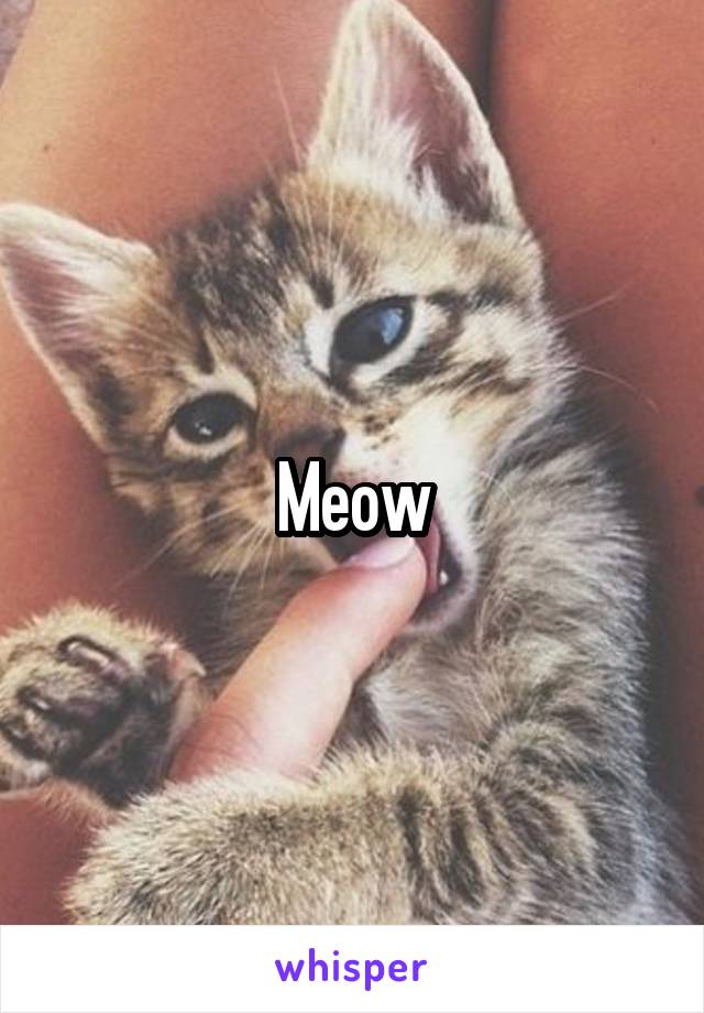 Meow