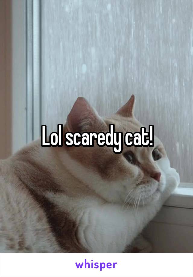 Lol scaredy cat!