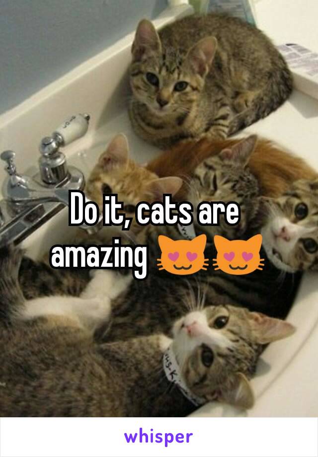 Do it, cats are 
amazing 😻😻