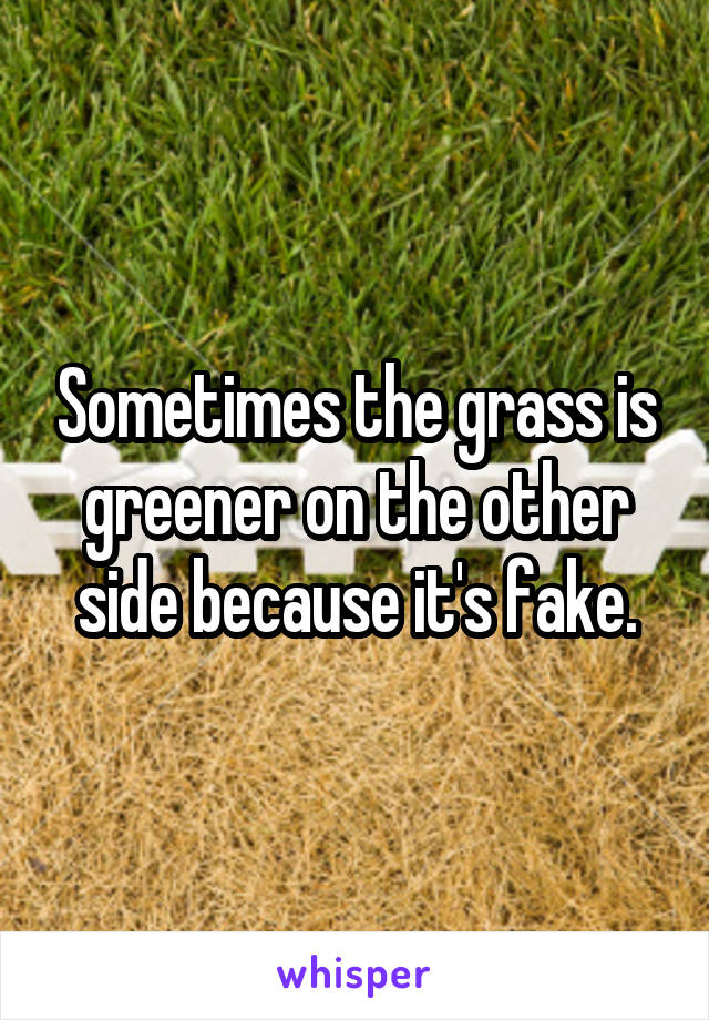 Sometimes the grass is greener on the other side because it's fake.