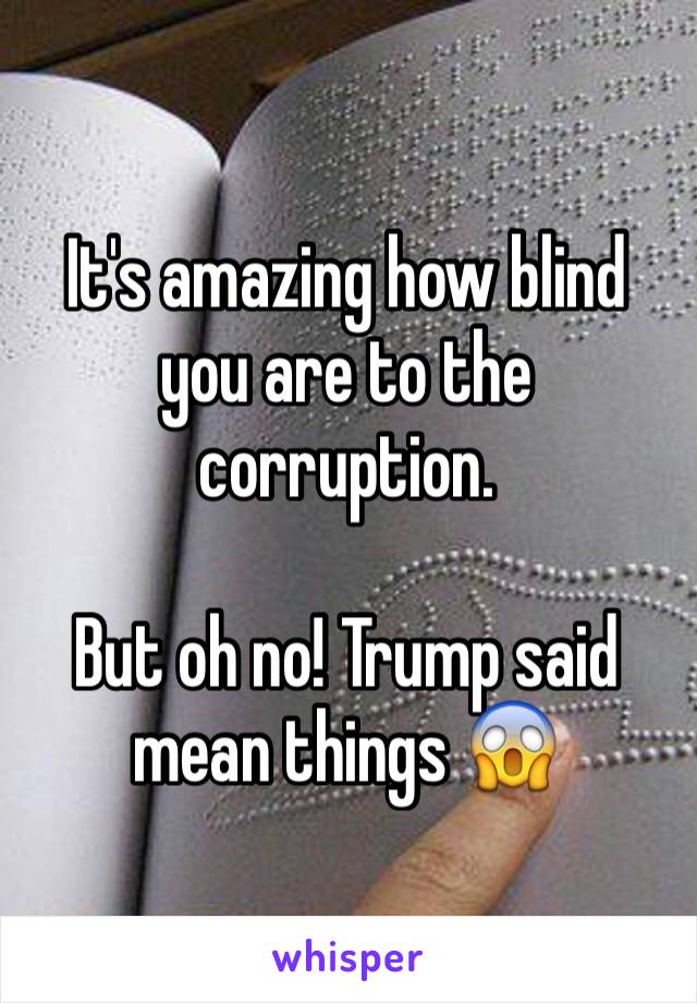 It's amazing how blind you are to the corruption.  

But oh no! Trump said mean things 😱