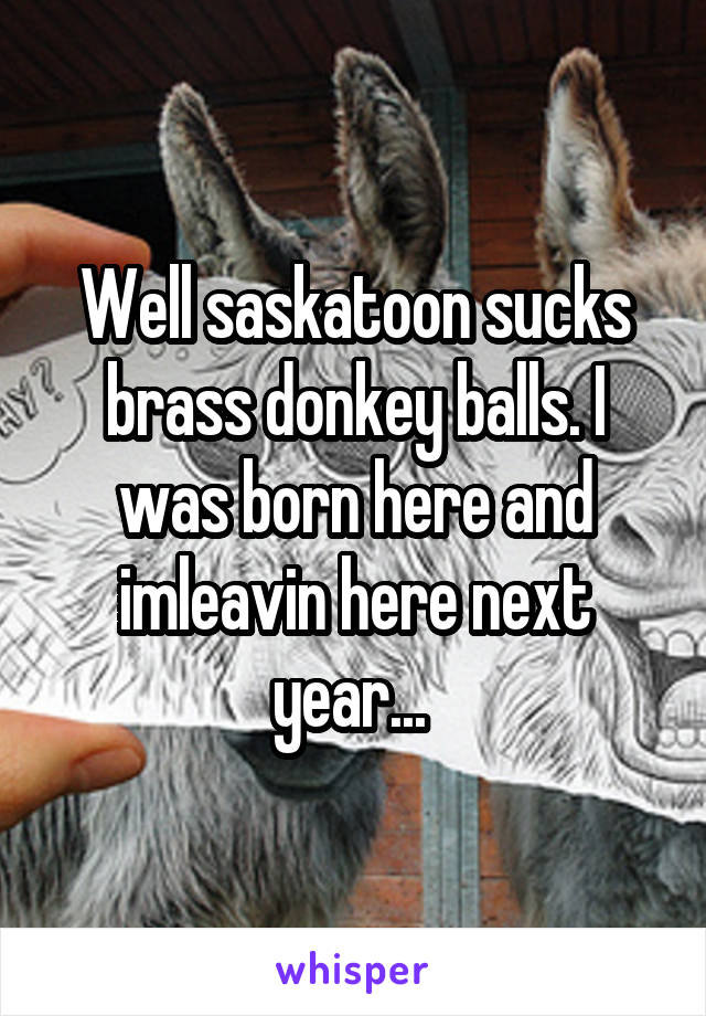 Well saskatoon sucks brass donkey balls. I was born here and imleavin here next year... 