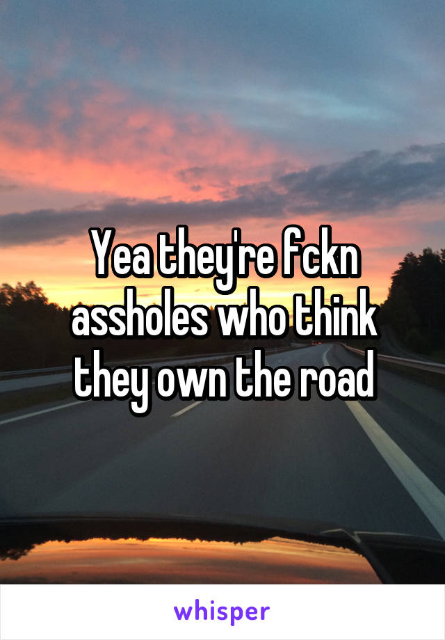 Yea they're fckn assholes who think they own the road