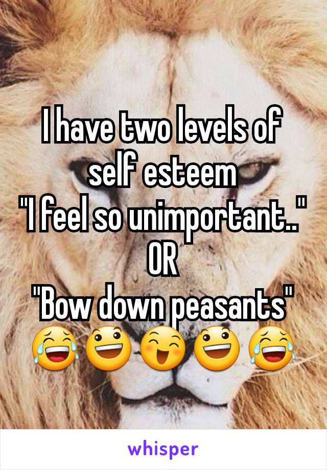 I have two levels of self esteem
"I feel so unimportant.."
OR
"Bow down peasants"
😂😃😄😃😂