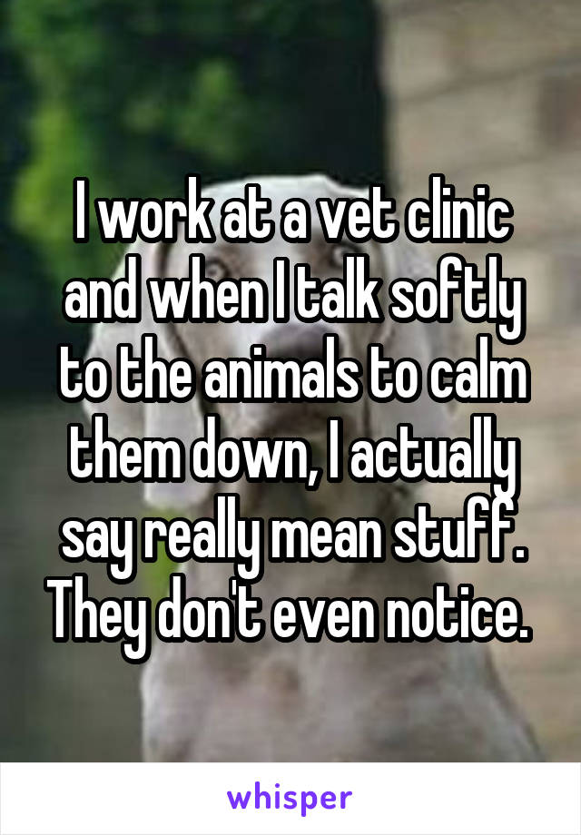 I work at a vet clinic and when I talk softly to the animals to calm them down, I actually say really mean stuff. They don't even notice. 