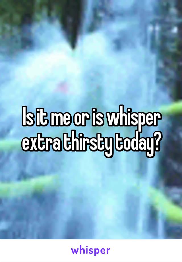 Is it me or is whisper extra thirsty today?