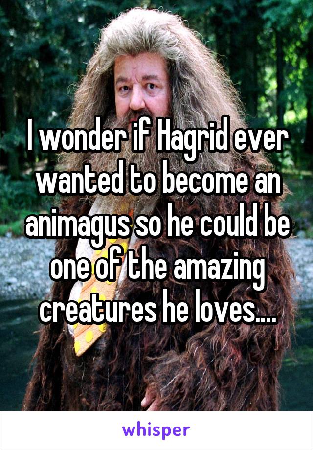 I wonder if Hagrid ever wanted to become an animagus so he could be one of the amazing creatures he loves....