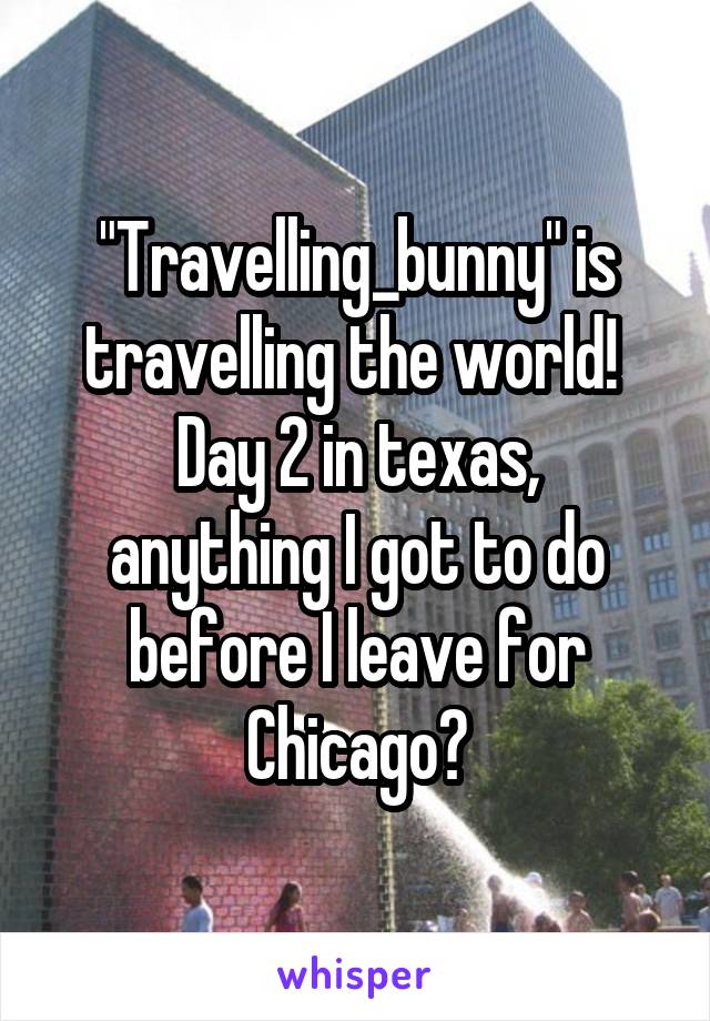 "Travelling_bunny" is travelling the world! 
Day 2 in texas, anything I got to do before I leave for Chicago?