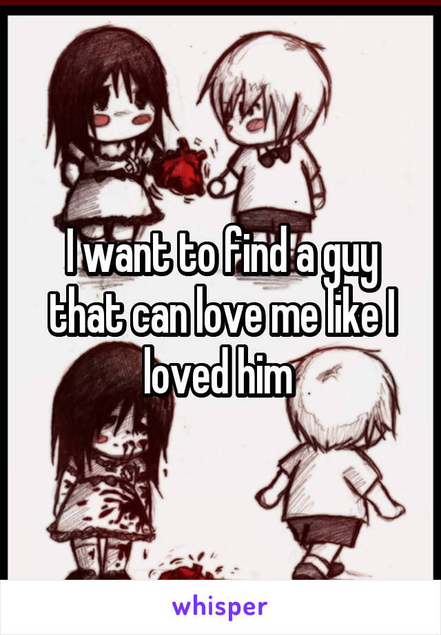 I want to find a guy that can love me like I loved him 