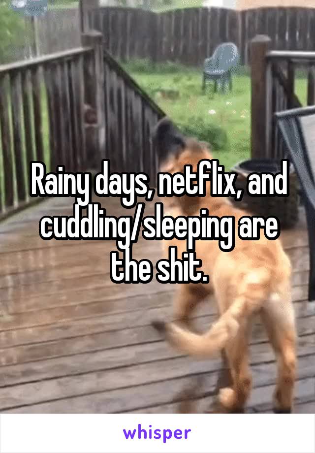 Rainy days, netflix, and cuddling/sleeping are the shit.