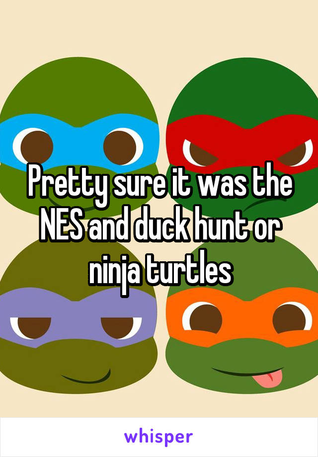 Pretty sure it was the NES and duck hunt or ninja turtles