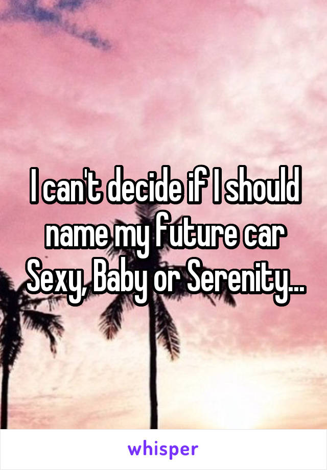 I can't decide if I should name my future car Sexy, Baby or Serenity...