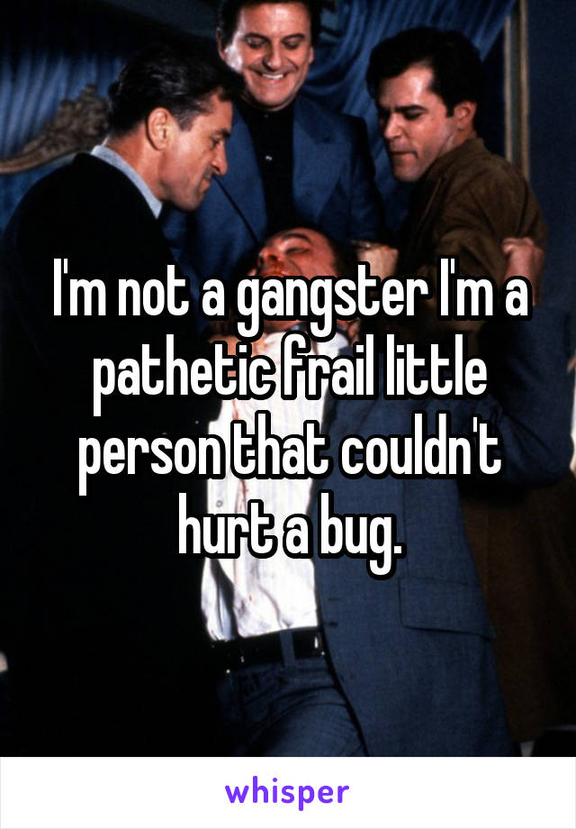 I'm not a gangster I'm a pathetic frail little person that couldn't hurt a bug.