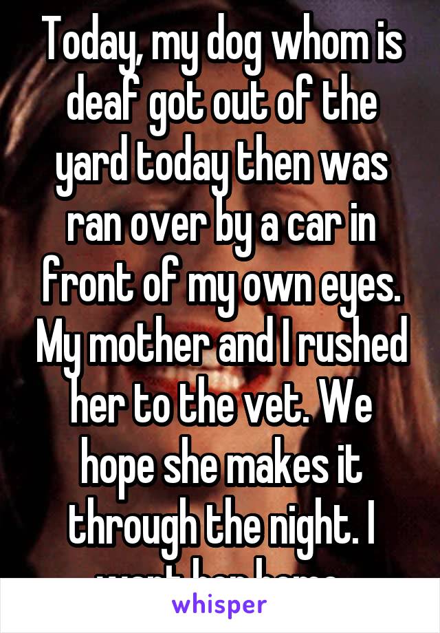Today, my dog whom is deaf got out of the yard today then was ran over by a car in front of my own eyes. My mother and I rushed her to the vet. We hope she makes it through the night. I want her home.