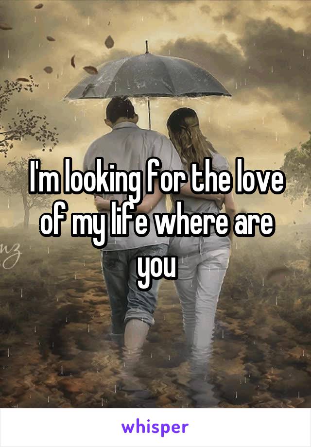 I'm looking for the love of my life where are you