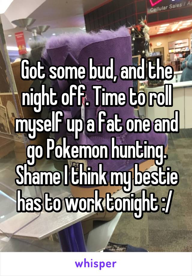 Got some bud, and the night off. Time to roll myself up a fat one and go Pokemon hunting. Shame I think my bestie has to work tonight :/ 