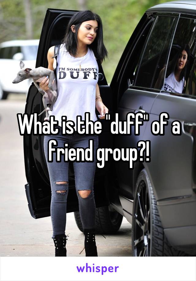 What is the "duff" of a friend group?!