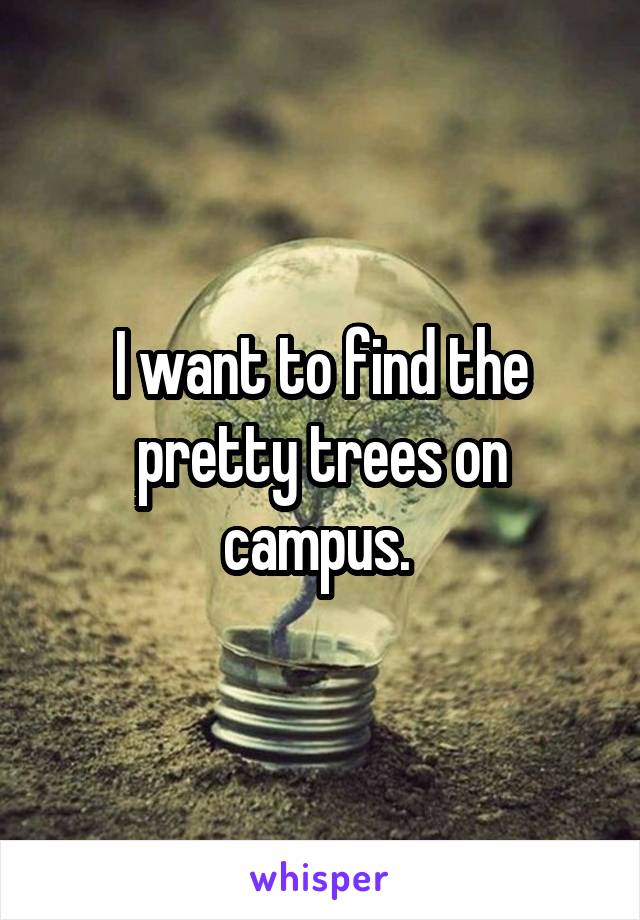 I want to find the pretty trees on campus. 