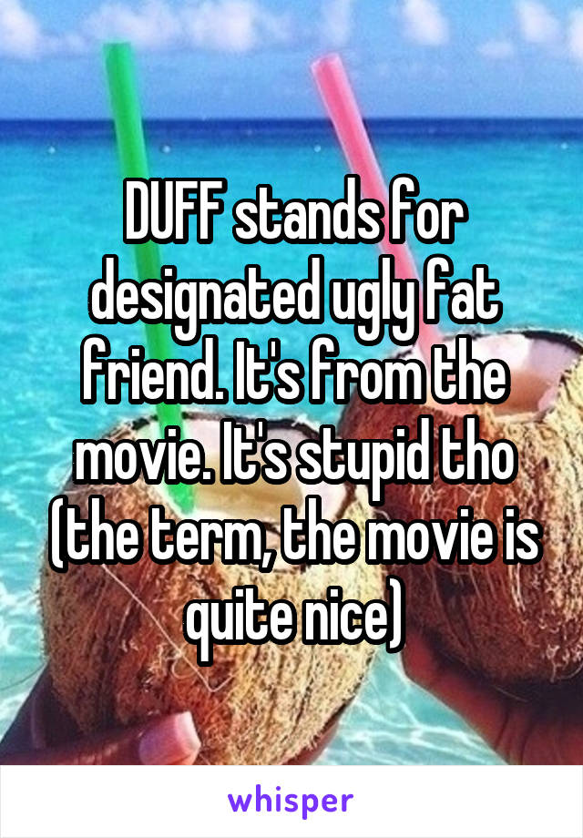 DUFF stands for designated ugly fat friend. It's from the movie. It's stupid tho (the term, the movie is quite nice)