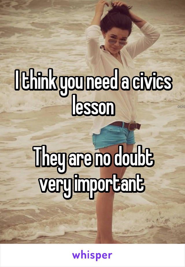 I think you need a civics lesson

They are no doubt very important 