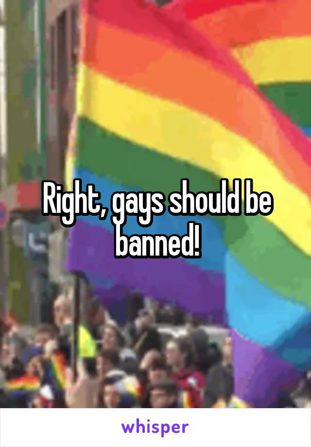 Right, gays should be banned!