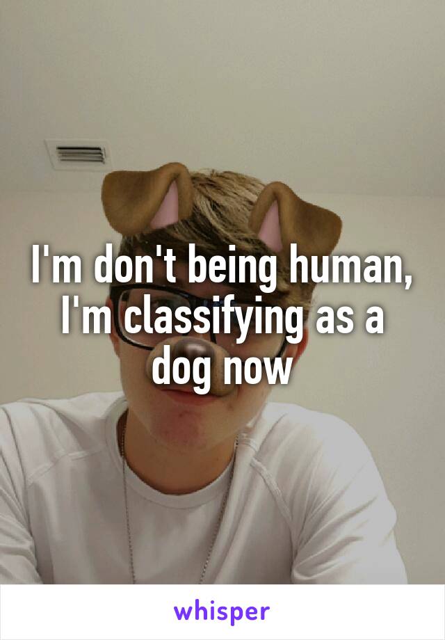 I'm don't being human, I'm classifying as a dog now