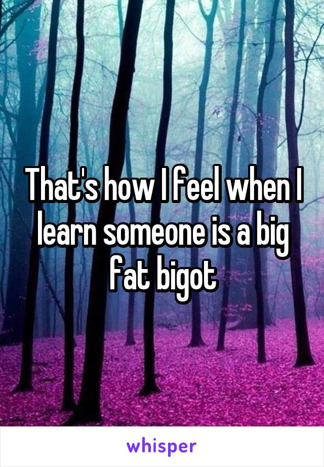 That's how I feel when I learn someone is a big fat bigot