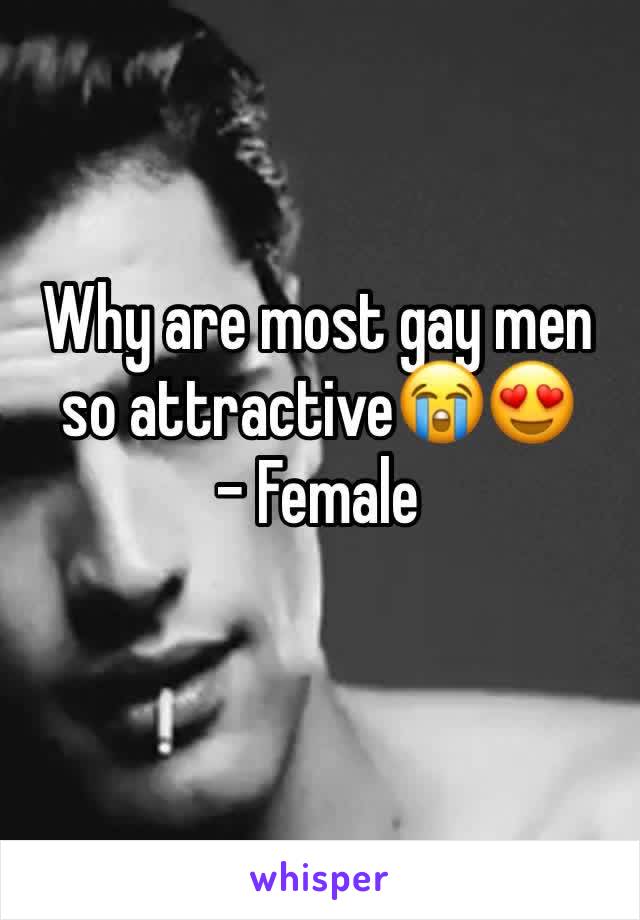 Why are most gay men so attractive😭😍
- Female