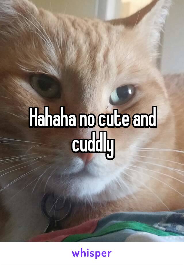 Hahaha no cute and cuddly