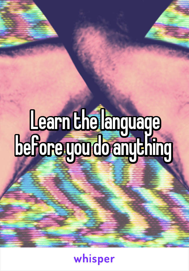 Learn the language before you do anything 