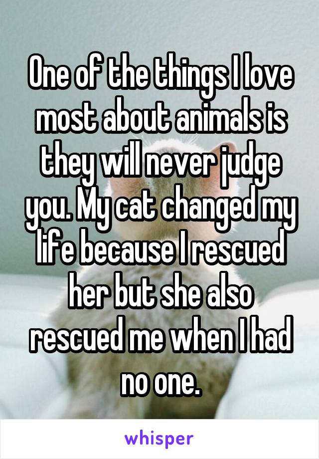 One of the things I love most about animals is they will never judge you. My cat changed my life because I rescued her but she also rescued me when I had no one.