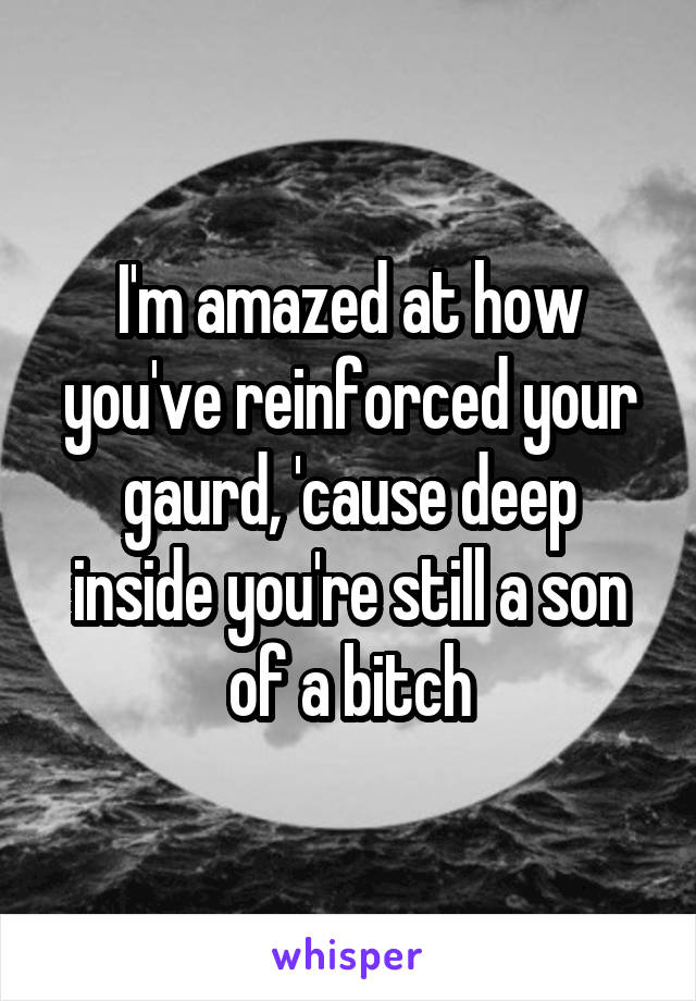 I'm amazed at how you've reinforced your gaurd, 'cause deep inside you're still a son of a bitch